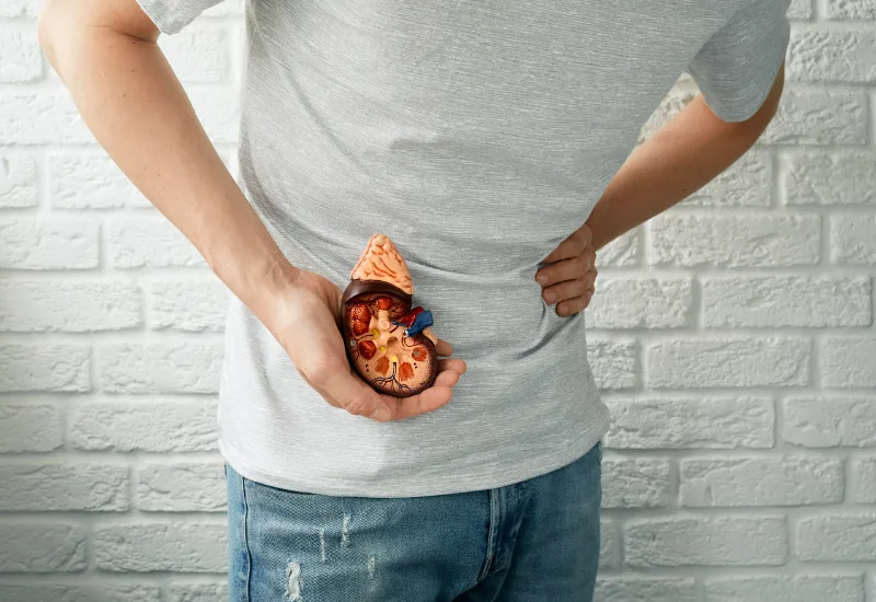 Understanding Hypertension